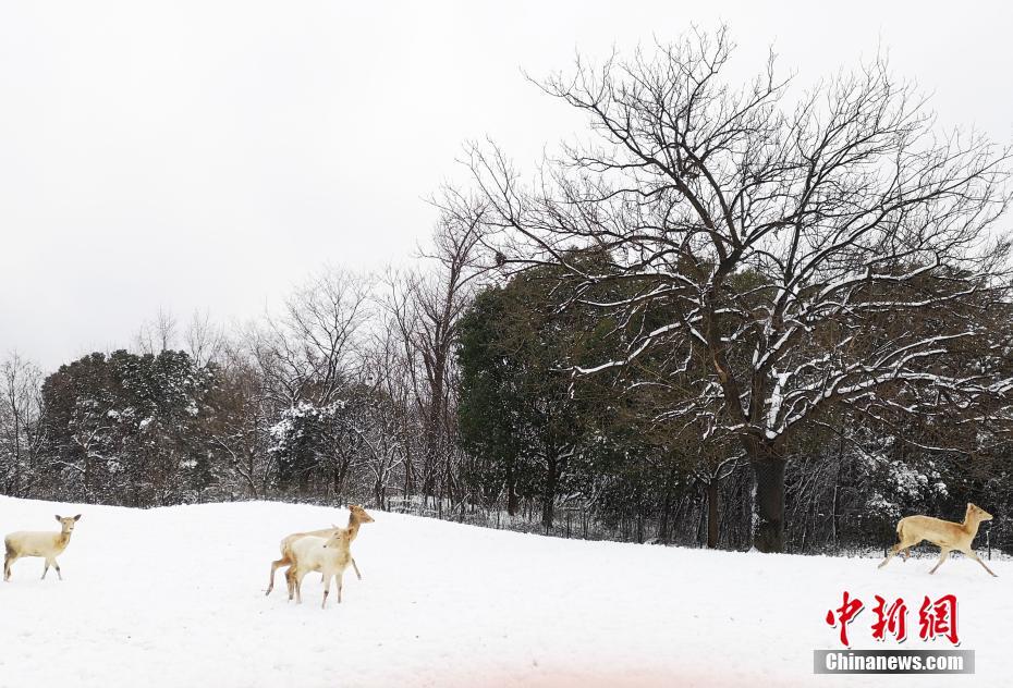 Running club organizes 5K race to raise money for cancer research
