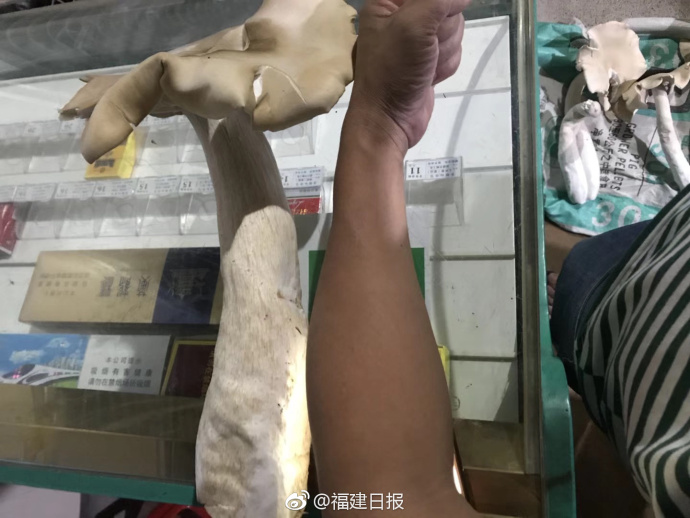 A taxi company added a 