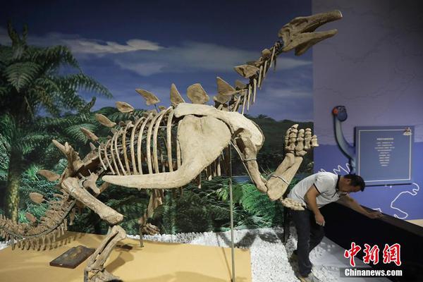 Doctors warned about the dangers of excessive sugar consumption