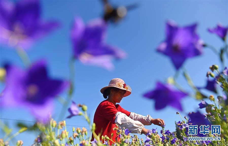 A hospital opened a new rehabilitation center for patients recovering from injuries
