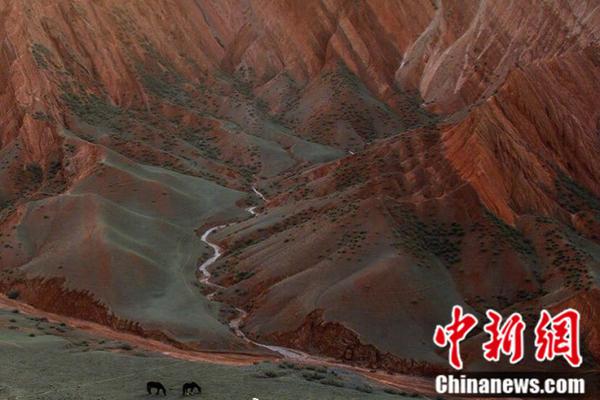 A café started serving breakfast burritos made with organic eggs and local salsa