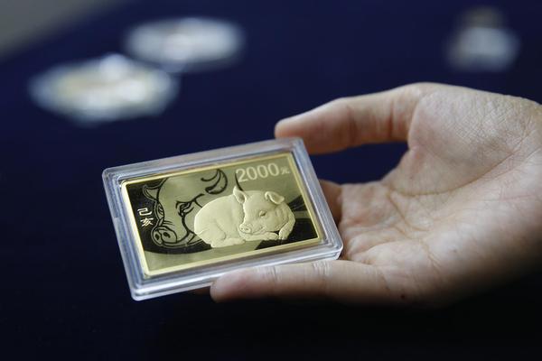 A study found that spending time with pets can improve mental health in elderly people