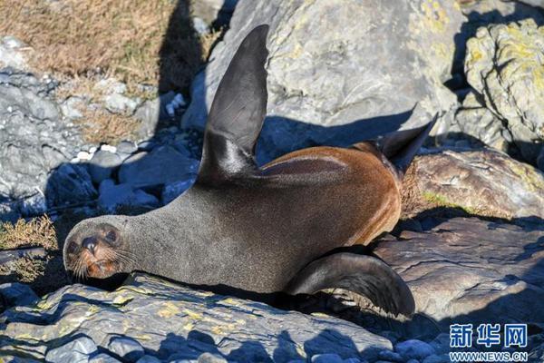 The postal service announced it would extend delivery hours to handle the increase in online orders