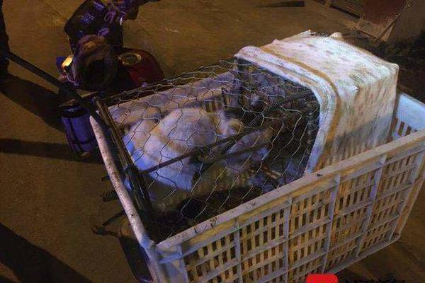 The country’s exports increased by 15 percent in the last year