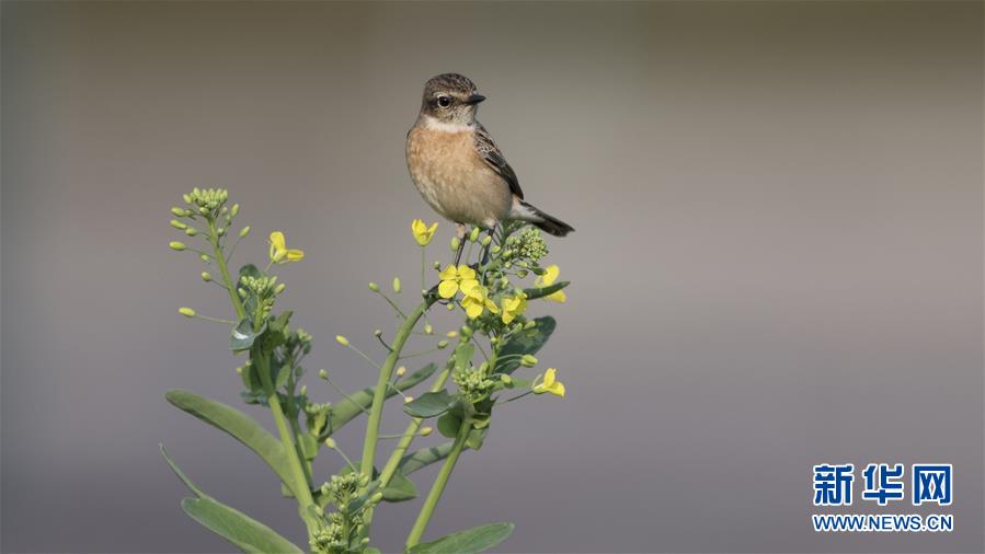 A tech company released a software update that adds new features to its popular app