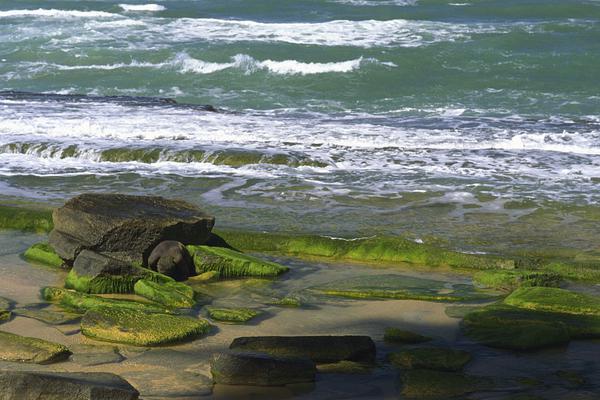 Train company reduces ticket prices for off peak travel to boost ridership