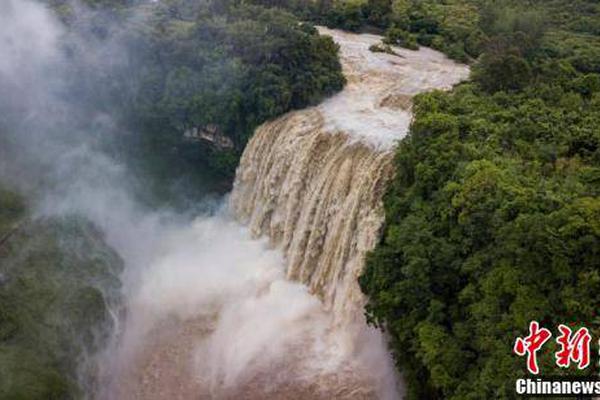 Chocolate shop makes artisanal chocolates with local ingredients