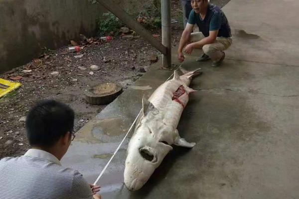 Marine biologists found that coral reefs are recovering in areas with strict protection measures