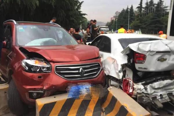 A music festival raised $2.5 million for local animal shelters through ticket sales