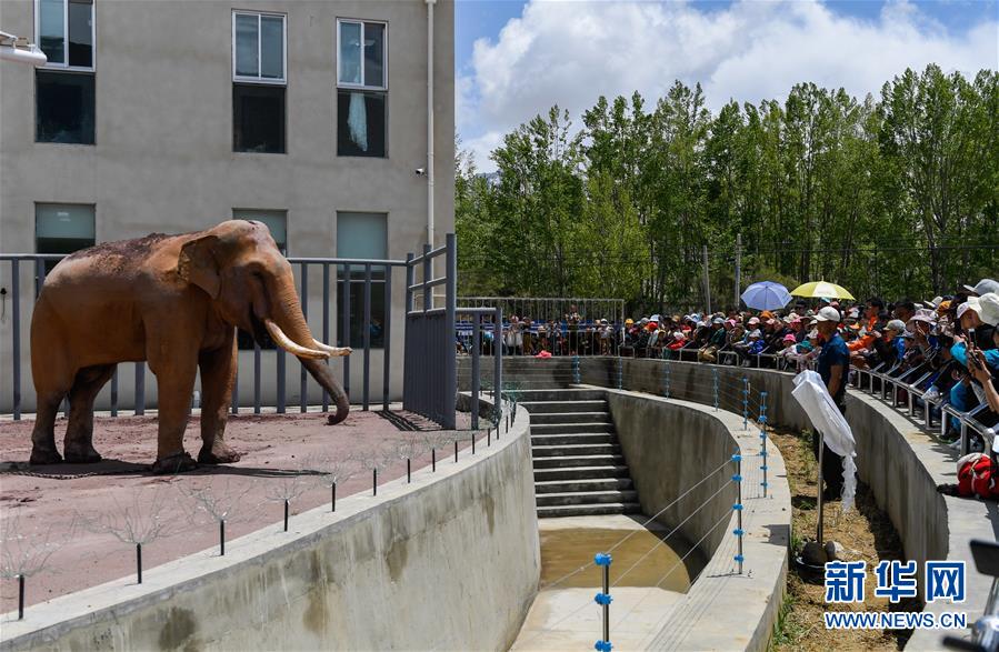 A city council voted to convert a vacant lot into a community garden for local residents