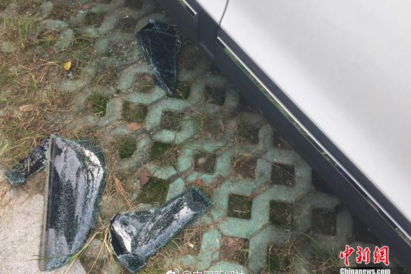 The police department launched an app that lets users report traffic accidents and road hazards