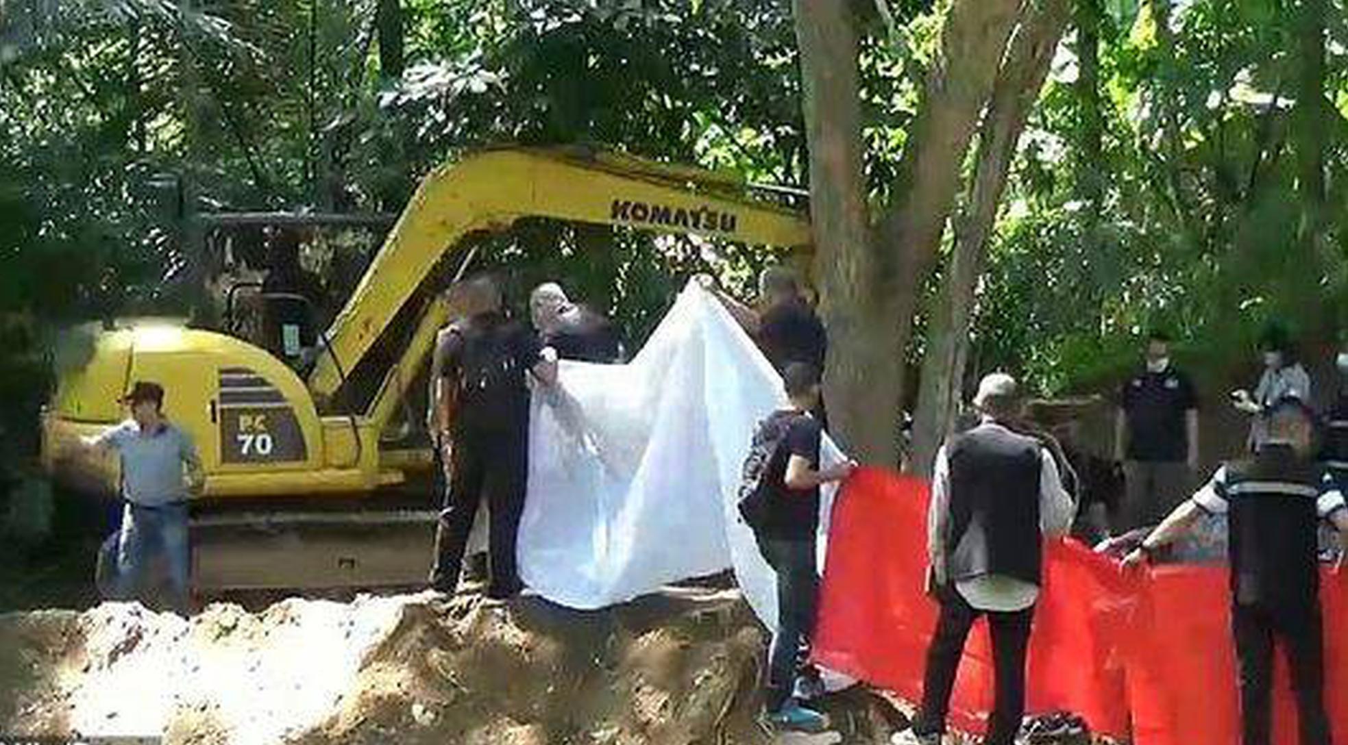 A research team developed a new method to detect early signs of diabetes using blood samples