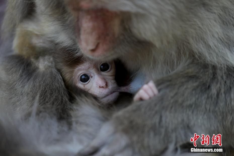 A tech startup raised $250 million in a new funding round valuing the company at over $1.5 billion