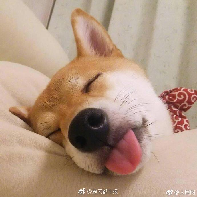 A research study found that exercising outdoors provides more health benefits than exercising indoors