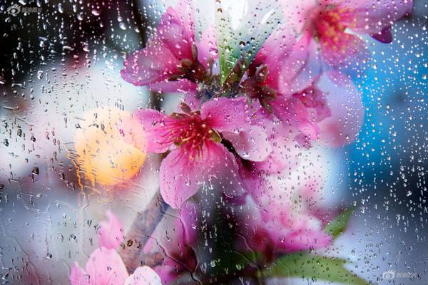 Farmers report higher crop yields due to improved irrigation systems