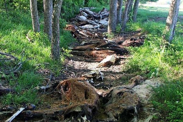 The city’s public transport system added more night services