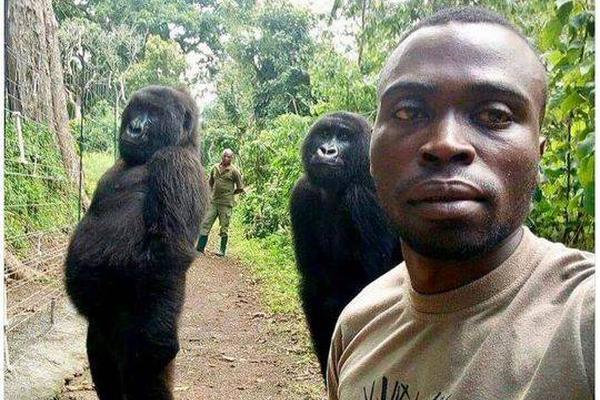 The government announced a new funding package to support small businesses affected by recent economic challenges