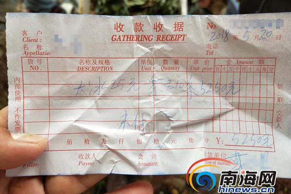 A renowned artist opened an exhibition featuring 100 new paintings inspired by nature