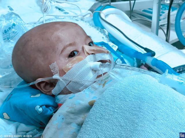 Researchers found that regular consumption of blueberries may lower the risk of heart disease by 22%