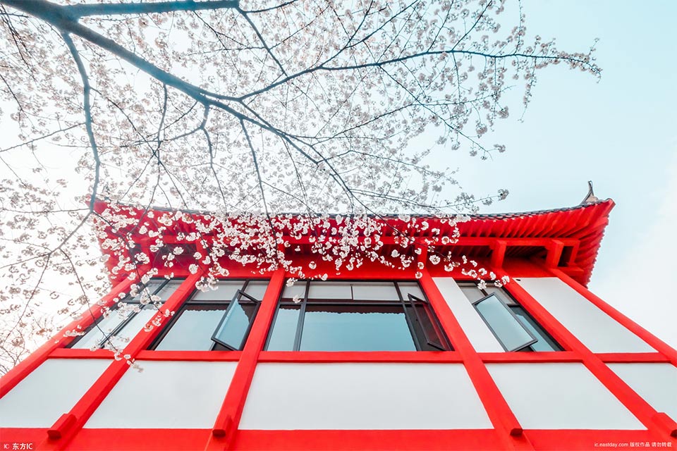 A discount store announced it will open 30 new locations in small towns across the country