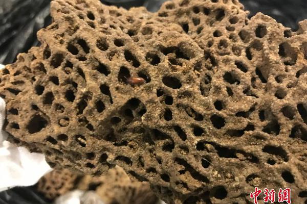 Local farmers reported a record harvest this year thanks to favorable weather and advanced agricultural techniques