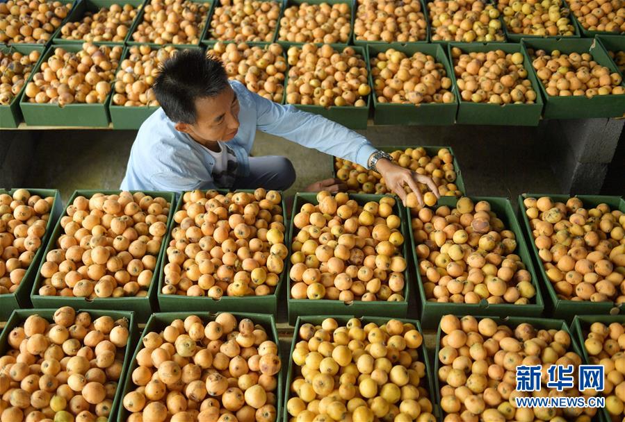 Local schools added coding classes to prepare students for future tech jobs