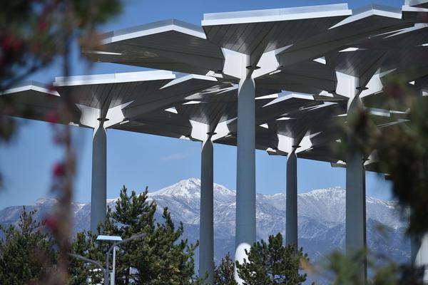 Local restaurants reported a 40% increase in outdoor dining reservations during the summer months