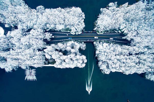 A city added 10 new bike lanes to reduce traffic congestion and promote eco-friendly transportation