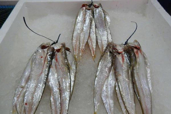 A bakery introduced a gluten-free line of pastries that quickly became its top-selling products