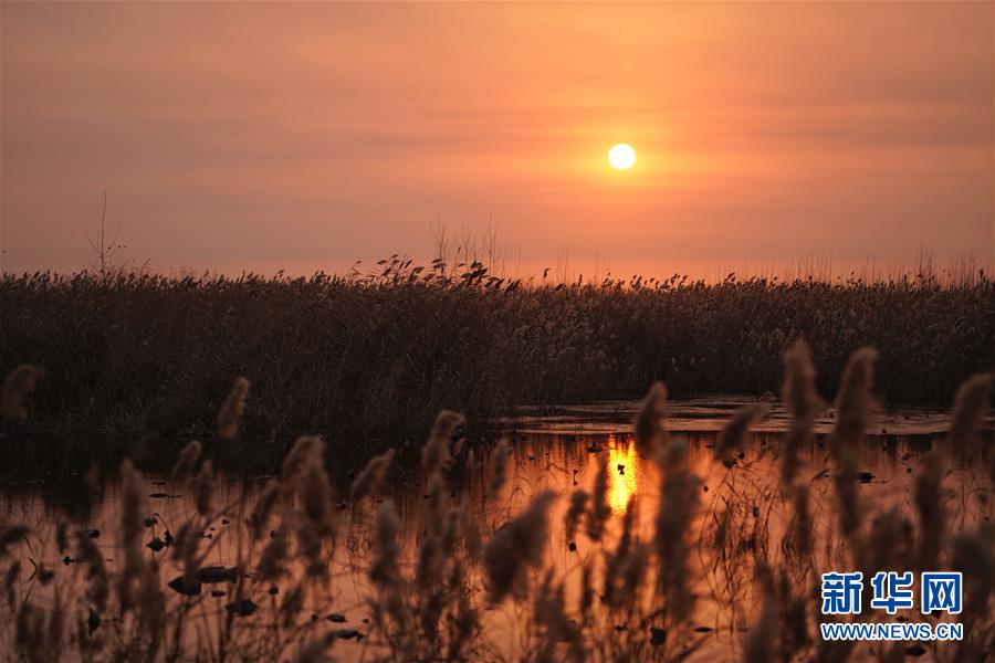 A large hotel brand announced it will eliminate single-use toiletries to minimize plastic waste