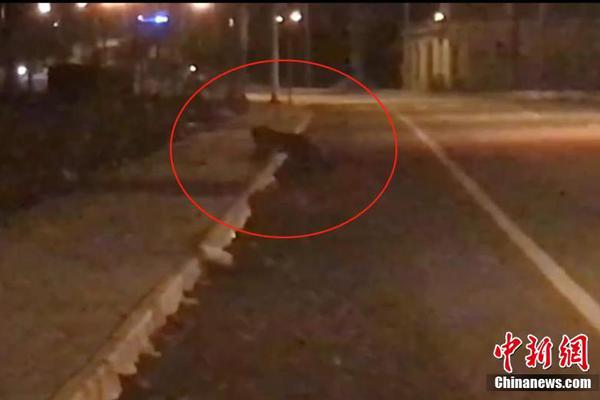 A major airline announced plans to replace its older planes with more fuel-efficient models