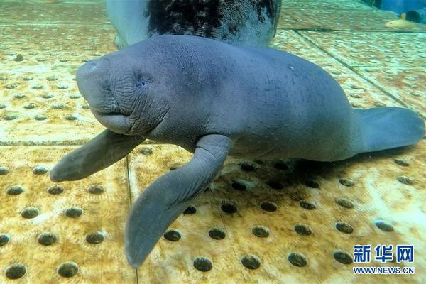 Scientists developed a new lightweight metal that is used in aircraft construction