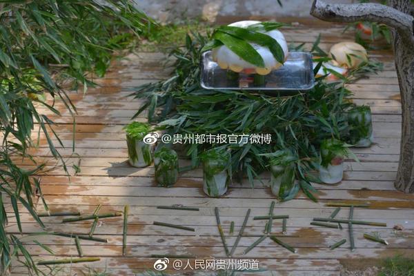 The postal service introduced a new package tracking system for customers