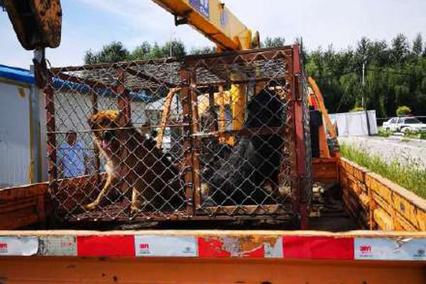 A study found that getting enough vitamin D can reduce the risk of respiratory infections by 35%