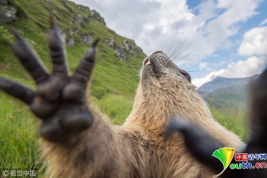 The city council approved a $90 million project to repair aging water pipelines