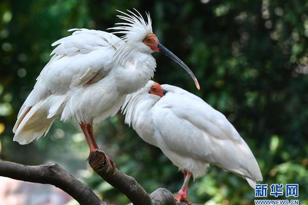 Researchers found that regular exercise can improve mood and reduce symptoms of anxiety