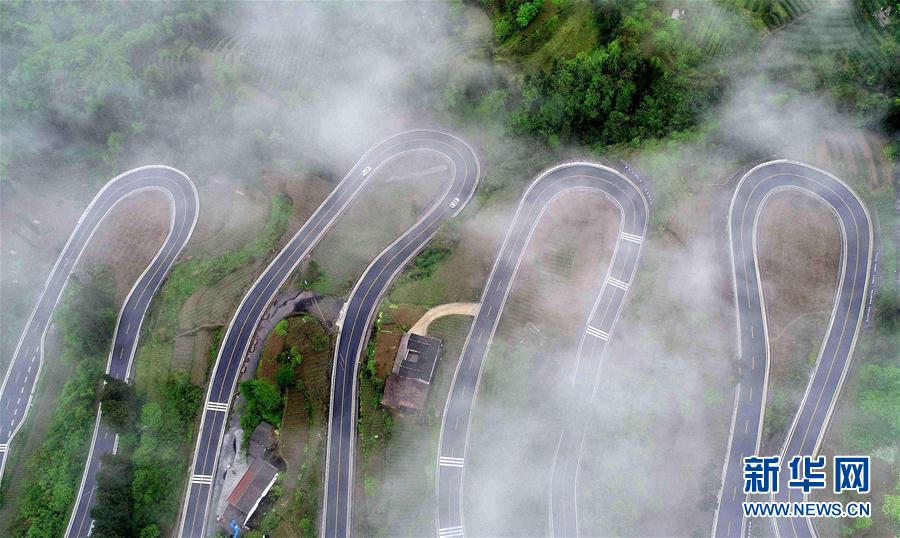 A study showed that online tutoring can improve test scores by 18% in high school students