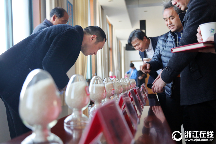 Government approves funding for new high-speed rail line between two major cities