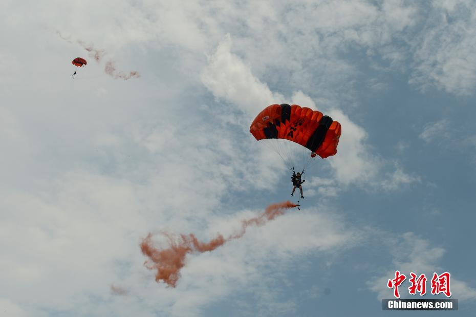 Marine researchers discovered a group of rare sea turtles nesting in a protected coastal area