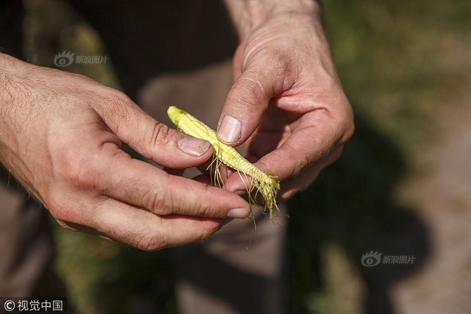 A scientist discovered a new species of butterfly in a local nature reserve