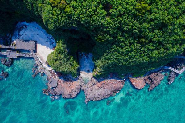 A sports team signed a new player from another country