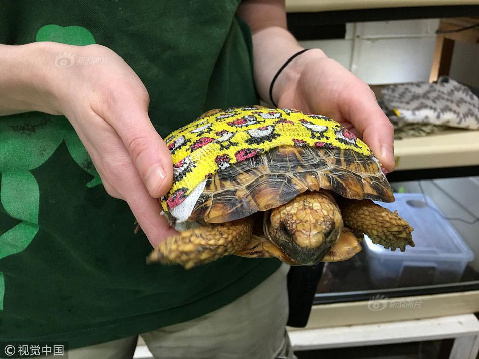 Scientists captured footage of a rare deep-sea creature never seen before