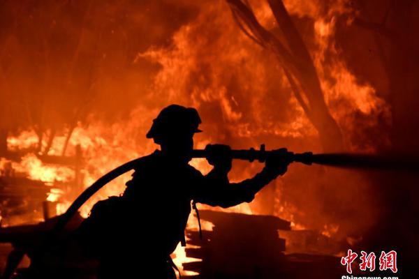 A city launched a bike-sharing program to encourage more people to cycle instead of driving, reducing traffic and pollution.