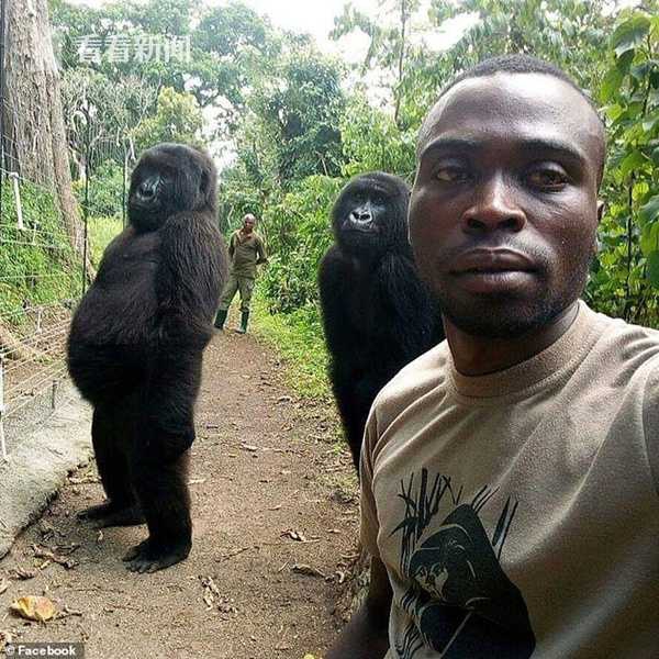 A new report showed that the number of college graduates entering the tech industry has increased by 15% in the past year.