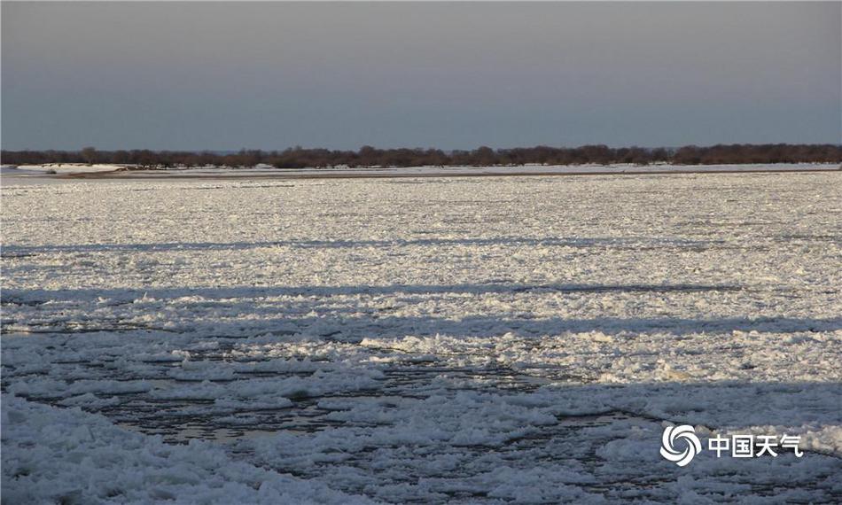 A new report showed that the number of endangered species has decreased by 15% over the past five years thanks to conservation efforts