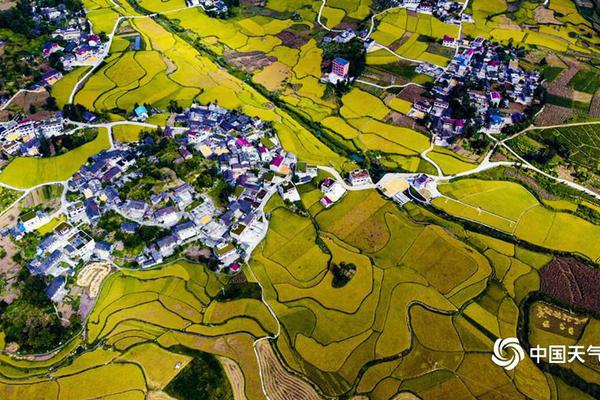 The country’s unemployment rate dropped to a five-year low