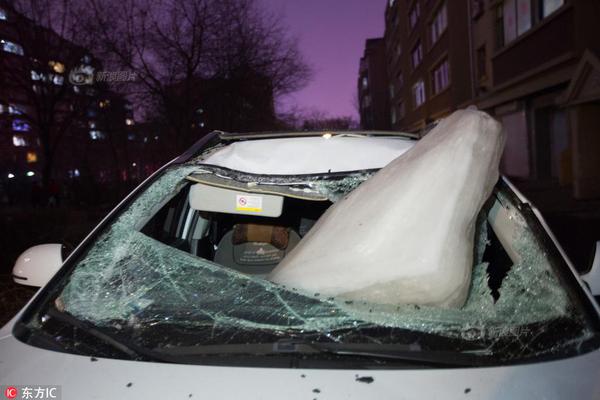 Plant nursery offers wide variety of native plants for home gardens