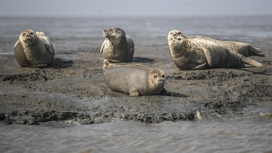 Lifeguards teach water safety classes at community swimming pool