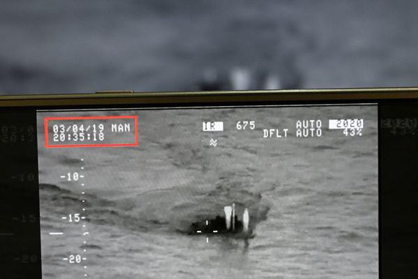 A team of marine researchers documented a significant increase in sea turtle nesting sites along the southern coast