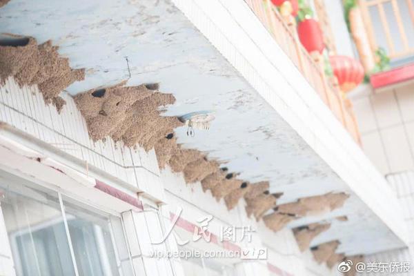 Automotive company recalls 50000 SUVs due to faulty fuel line connections